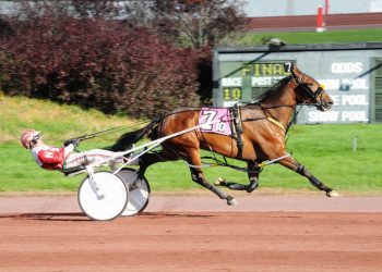 Ruthless Hanover romps at The Downs