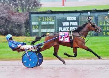Two-year-old beats older horses
