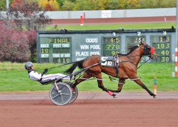 Uptown Hanover goes down the road