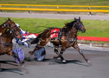 Albion Park double for ‘Dance’
