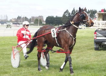 Chances good for Black and Williamson at Northern Southland