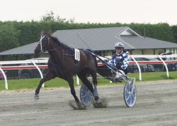 Trixton gelding dominates in Springs Rewards final