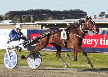 Class prevails in Southland Trotting Oaks