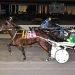 Joxter grinds out Open Trot victory