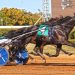 Jujubee looks for repeat in Breeders Crown 2 Jujubee looks for repeat in Breeders Crown