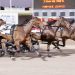 Upsets galore in Victoria Oaks heats