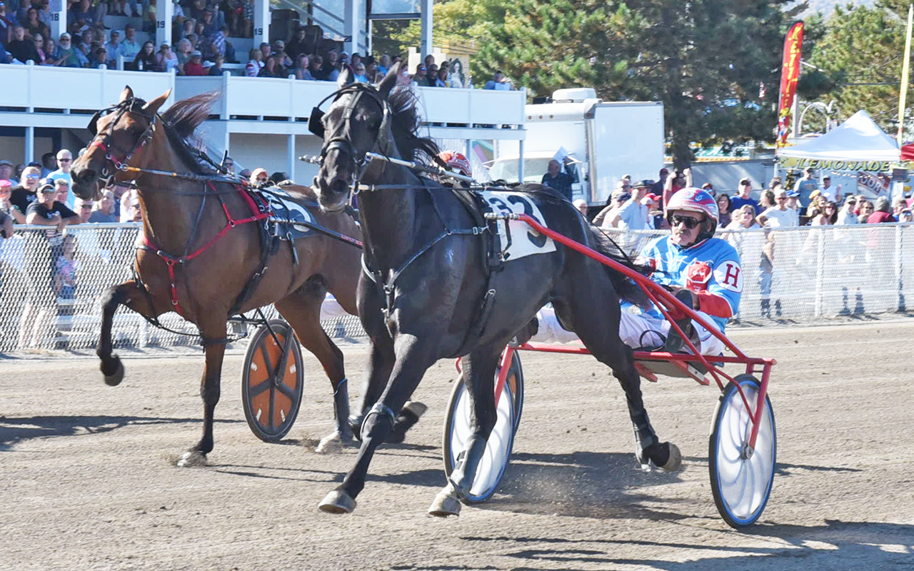 Domination in Fryeburg Fair Maine Breeders Stakes Harnesslink