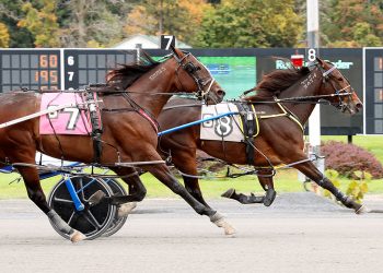 La Bella Vita N continues to be red hot