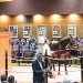 Stella Volo tops record-setting session of Lexington Yearling Sale