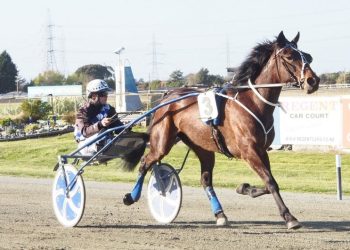 Well bred fillies give Williamson two out of three