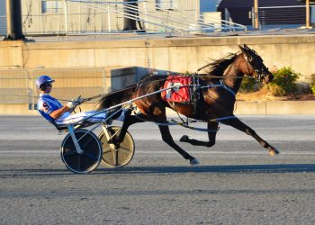 Powerful Mist filly romps in $100,000 DSBF final