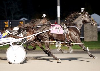 “Kisses” continues winning at The Spa