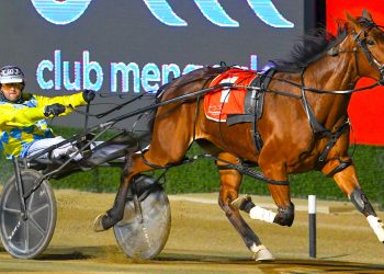 Connections to pick draws in Breeders Challenge