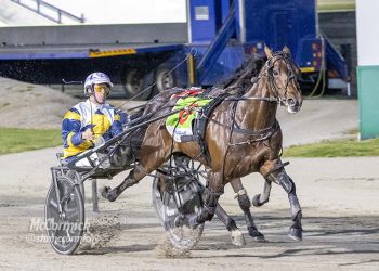 Payday for Stewart stable