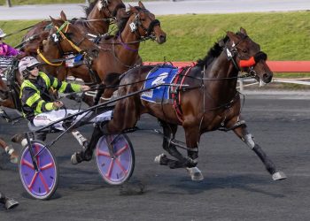 A Rocknroll Dance stock top $9 million in Australia