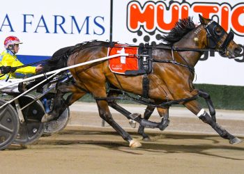 Wingate’s NSW Breeders Challenge double