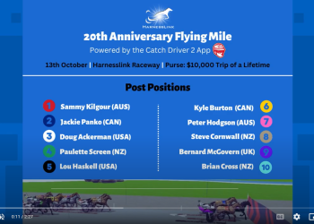 Harnesslink Flying Mile