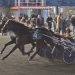 Special Way captures $810,000 Breeders Crown in Canadian record