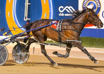 Tactical barrier draw selection for Breeders Challenge