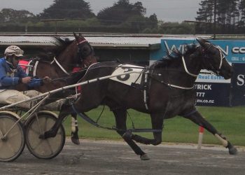 Well bred filly wins for Williamson