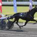 Etonnant heads field for $1 million International Trot
