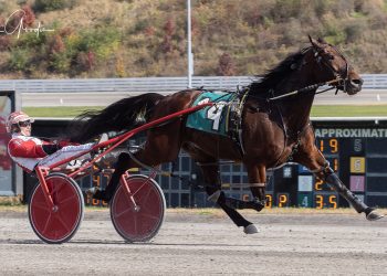 “Battle of the Millionaires” won by Backstreet Shadow