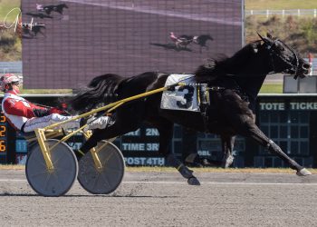 Early jubilations for Celebrate With Me