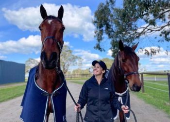 Dream partnership just keeps growing