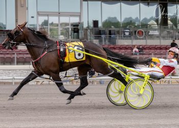 Meadowlands Pace eliminations preview