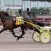 Meadowlands Pace eliminations preview 1 Meadowlands Pace eliminations preview