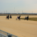 The Loop gets first horses on the track 3 The Loop gets first horses on the track