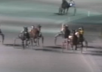 Objection DQ in Mary Murphy