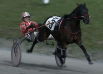 Holmes doubles in Atlantic Breeders Crown consolations