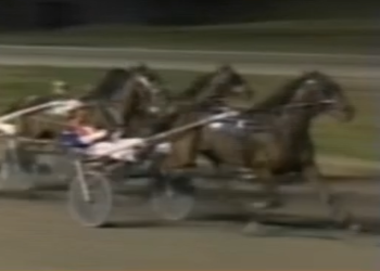 Moosette back on top at Fraser