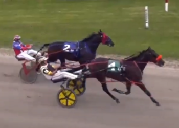 Dellas Playboy wins Celtic Financial Series