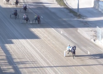 Angel Of My Dreams sweeps Autumn Series in crushing win