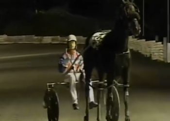 Perfect streaks maintained in Murphy series