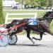 Maine’s top trotters in action at Fryeburg