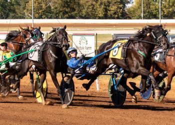 Walner Payton toughest in $317,700 International Stallion