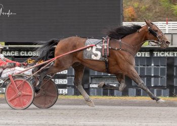 Mystical Peter casts spell over field