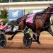 $560,000 Matron Stakes at Dover Thursday