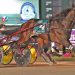 Redwood showcases trotting resurgence
