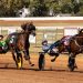 Pebble Beach back to winning ways in $363,500 Tattersalls 2