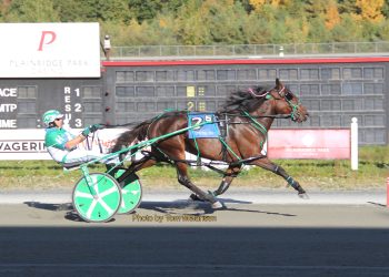 Track & Stakes records fall at Plainridge Park