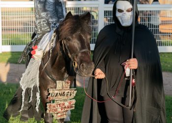 Moran making every post a winner