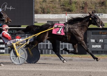 Tequila Talkin notches 12th win of the season