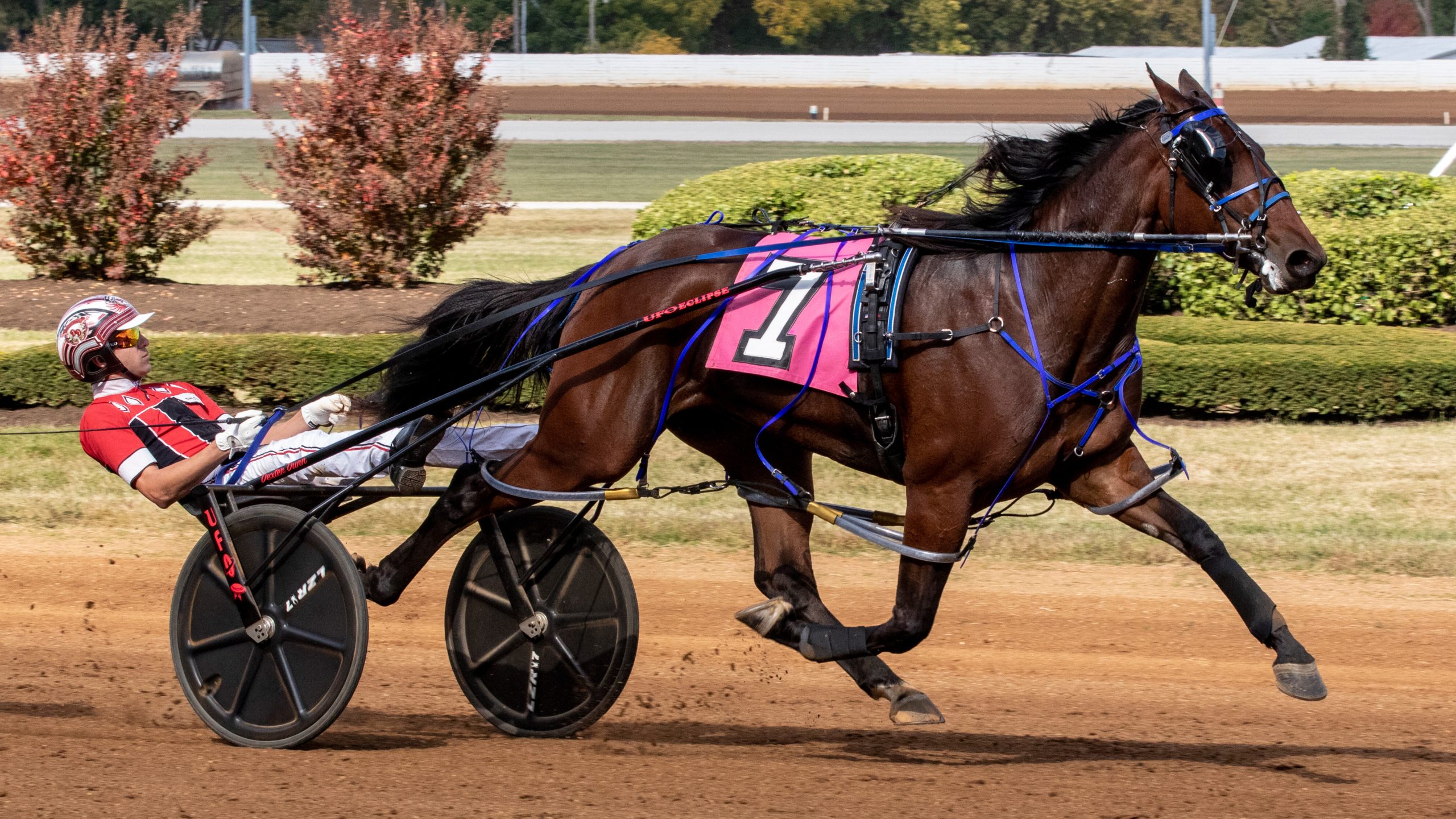 Dexter Dunn Sweeps $253,000 International Stallion Stakes - Harnesslink