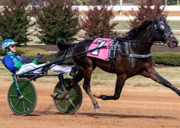 38-1 longshot scores in International Stallion Stakes