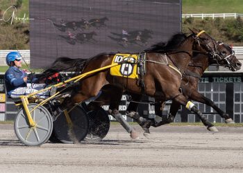 Whisky Blu sets mark in tight victory