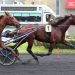 Idao de Tillard wins 120,000£ European test at Vincennes